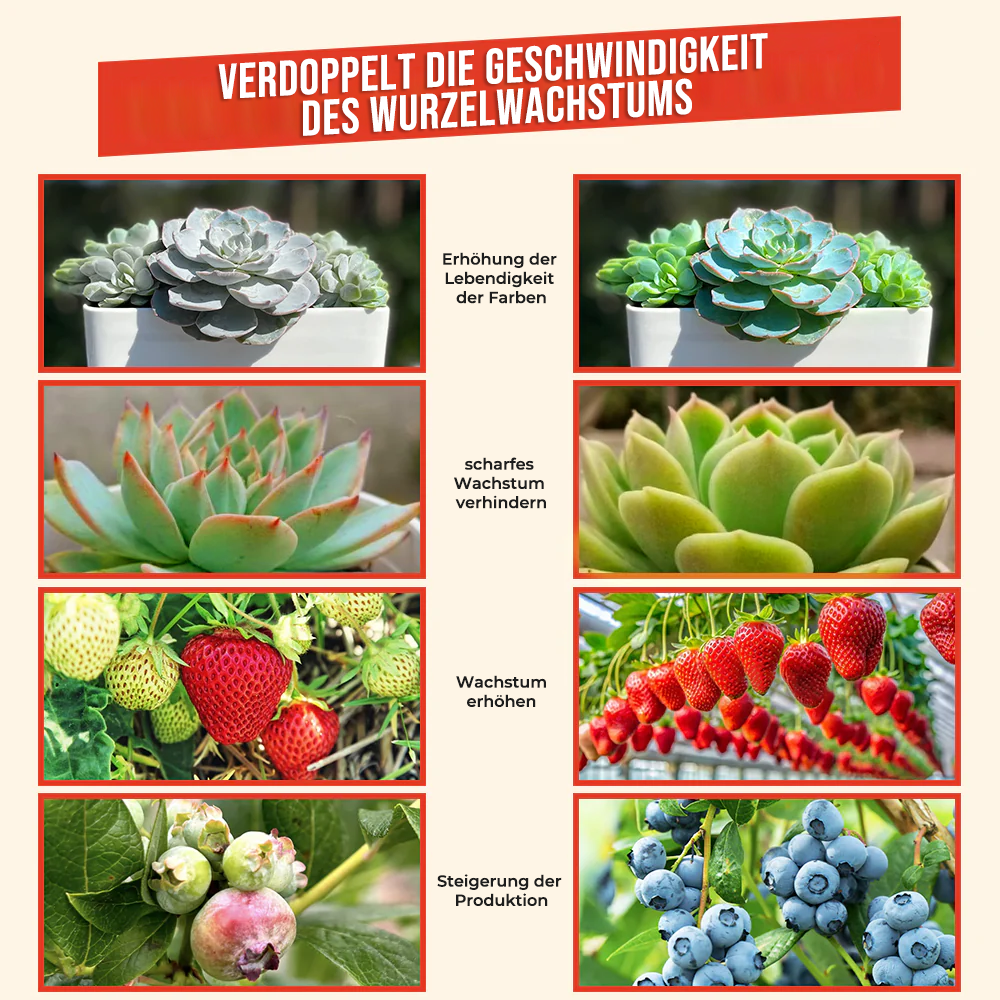 GFOUK® Schnellwurzelpflanze Yield Booster Düngemittelkonzentrat