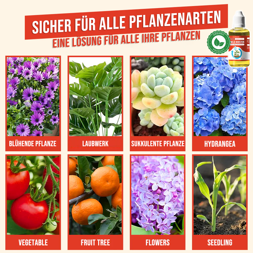GFOUK® Schnellwurzelpflanze Yield Booster Düngemittelkonzentrat