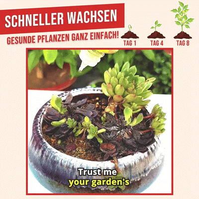 GFOUK® Schnellwurzelpflanze Yield Booster Düngemittelkonzentrat