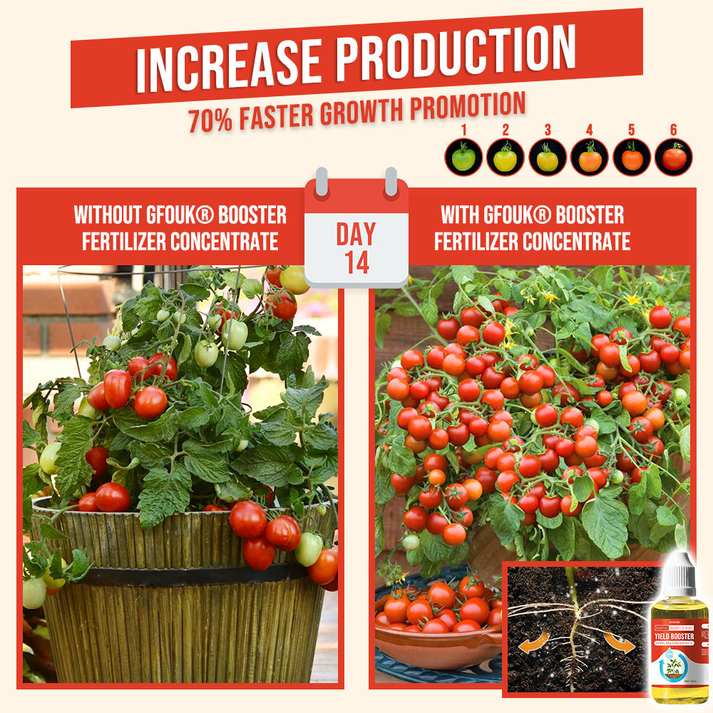 GFOUK® Schnellwurzelpflanze Yield Booster Düngemittelkonzentrat