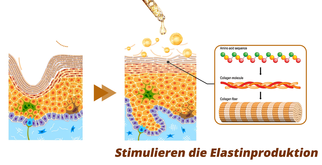 flysmus™ RevitaPeptide Umkehrserum